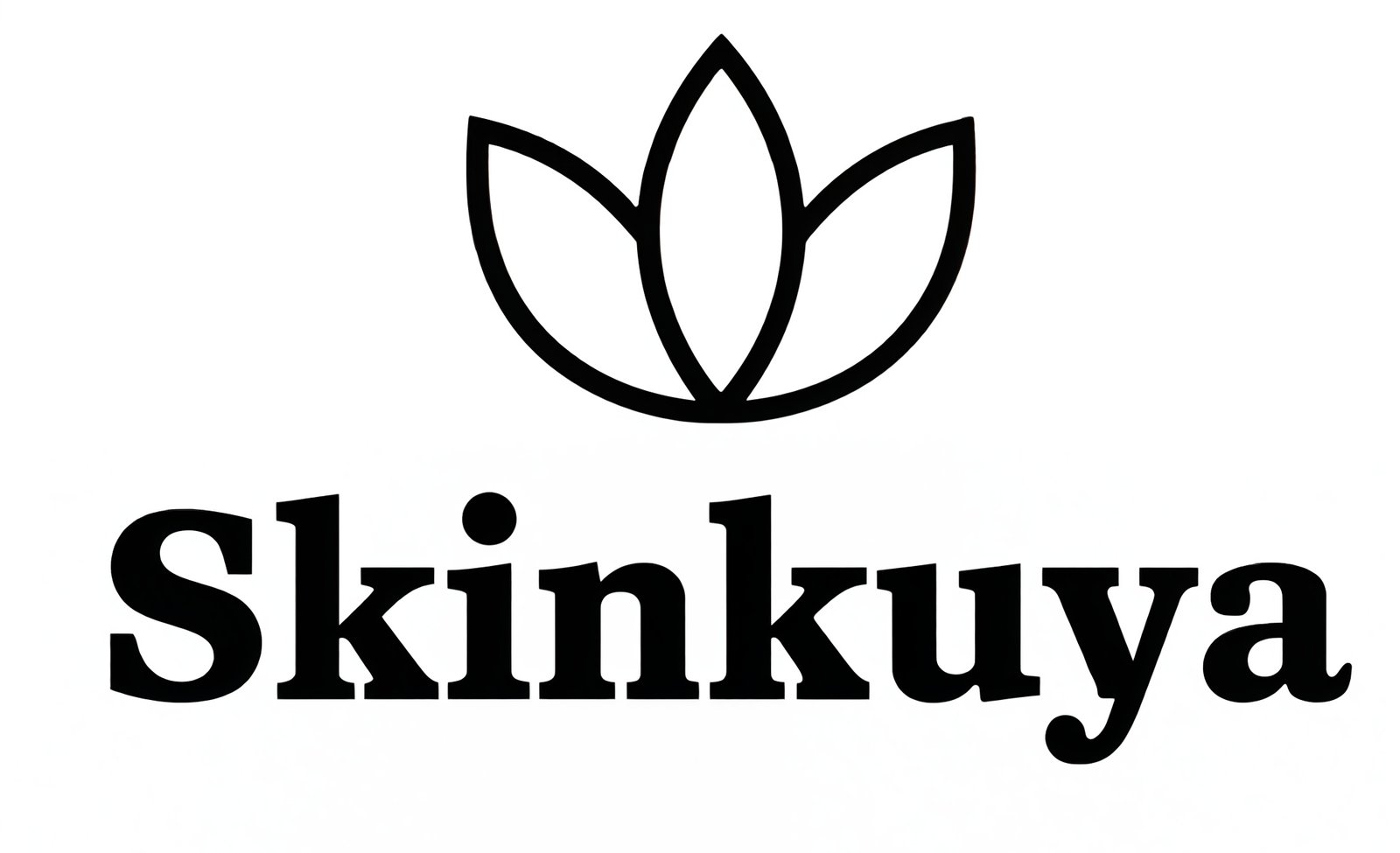 unblurimageai_Capture d’écran 2026-01-02 182402